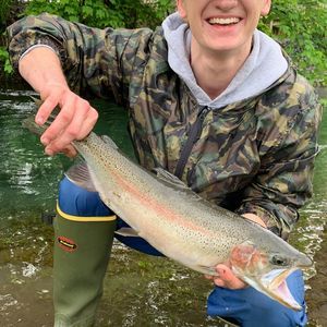 Meet your Posher, Shamus